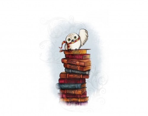 coque Owl and Books
