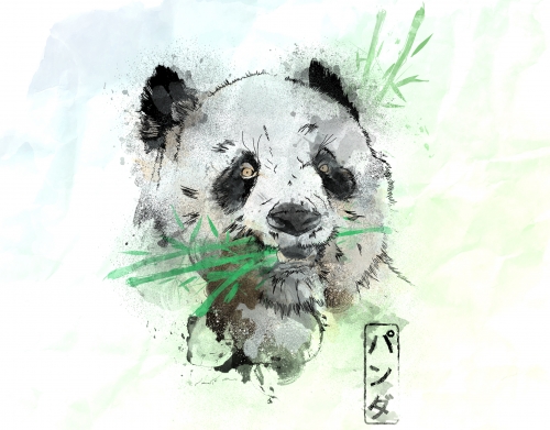 coque Panda Watercolor