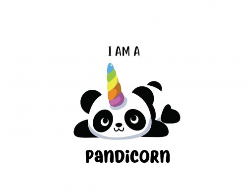 coque Panda x Licorne Means Pandicorn