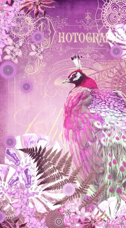 coque PINK PEACOCK