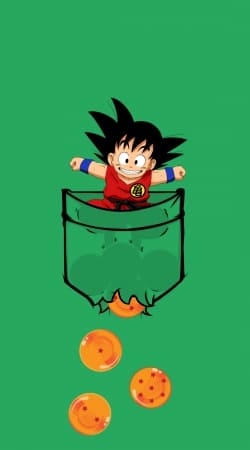 coque Pocket Collection: Goku Dragon Balls