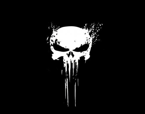coque Punisher Skull