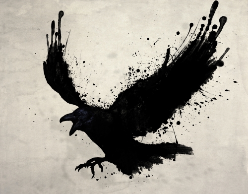 coque Raven