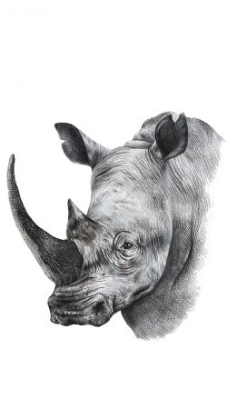 coque Rhino Shield Art
