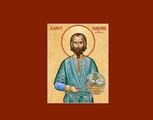 coque Saint Isidore