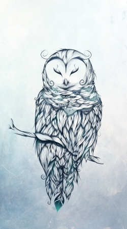 coque Snow Owl
