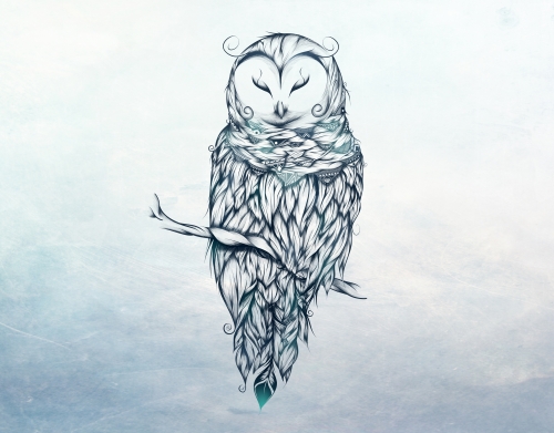 coque Snow Owl