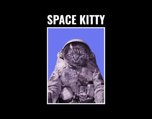 coque Space Kitty