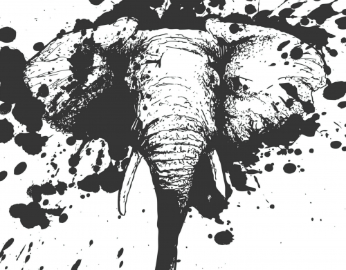 coque Splashing Elephant