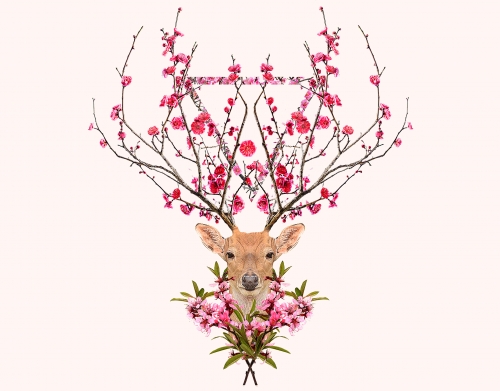 coque Spring Deer