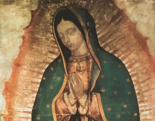 coque Virgen Guadalupe