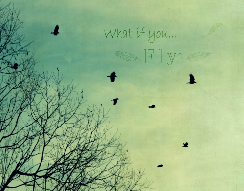 coque What if You Fly?