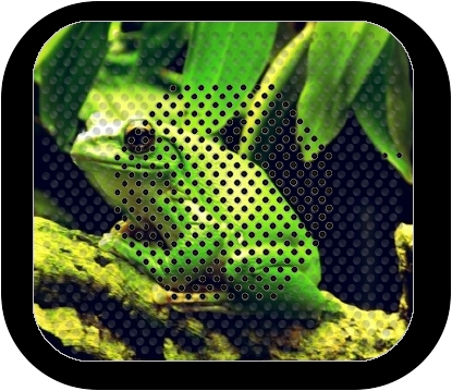altoparlante Green Frog 