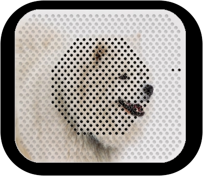 altoparlante samoyede dog 