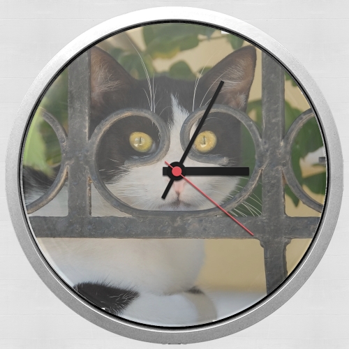 Orologio Cat with spectacles frame, she looks through a wrought iron fence 