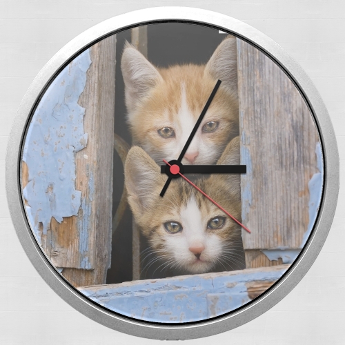 Orologio Cute curious kittens in an old window 