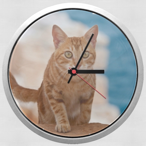 Orologio gattino, red tabby, su una scogliera 