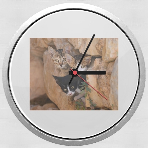 Orologio Three cute kittens in a wall hole 