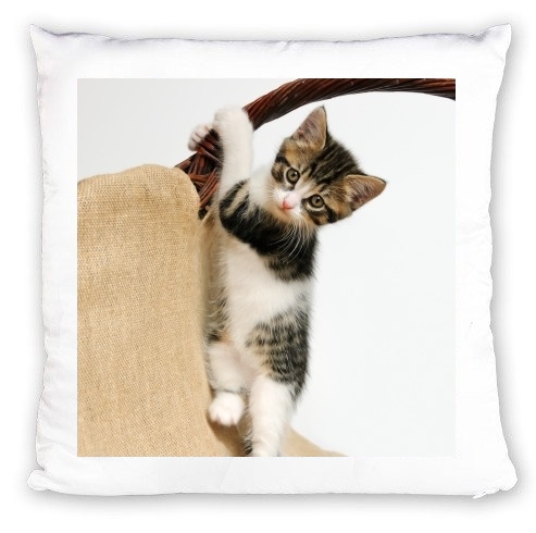 cuscino Bambino gatto, simpatico gattino arrampicata 