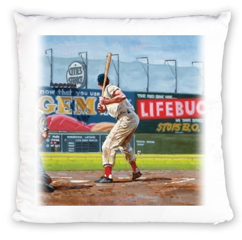 cuscino Baseball Painting 