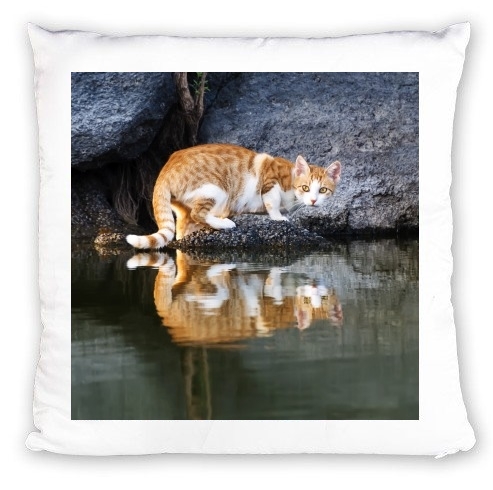cuscino Cat Reflection in Pond Water 