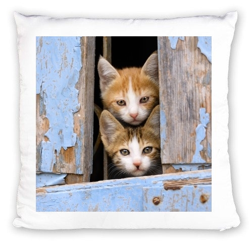 cuscino Cute curious kittens in an old window 