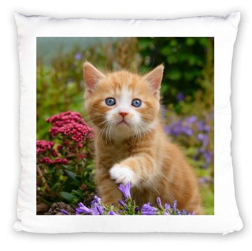 cuscino Cute ginger kitten in a flowery garden, lovely and enchanting cat 