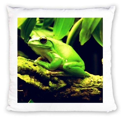 cuscino Green Frog 