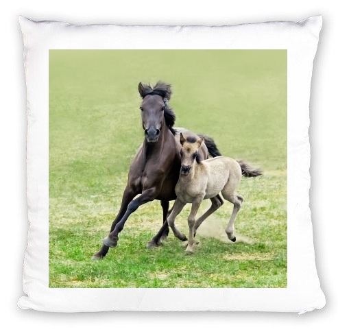 cuscino Horses, wild Duelmener ponies, mare and foal 