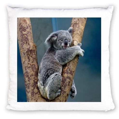 cuscino Koala Bear Australia 