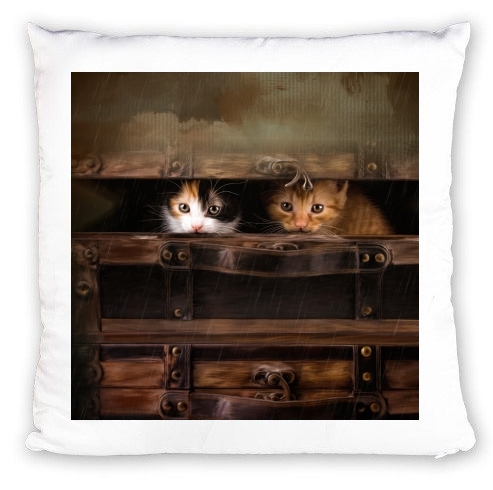 cuscino Little cute kitten in an old wooden case 