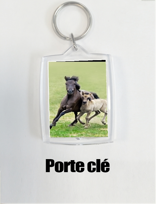 Portachiavi Horses, wild Duelmener ponies, mare and foal 