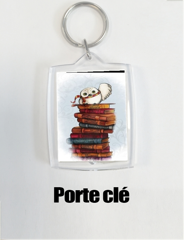 Portachiavi Owl and Books 