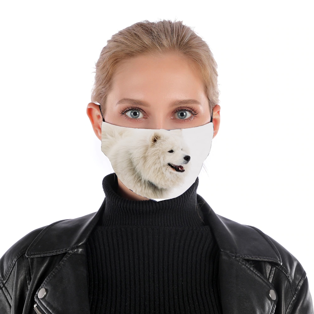 Maschera samoyede dog 