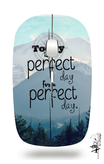 Mouse A Perfect Day 