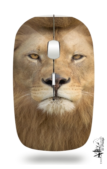 Mouse Africa Lion 