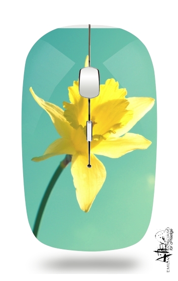 Mouse Daffodil 