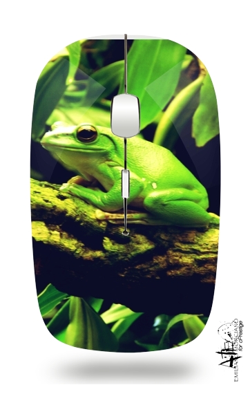 Mouse Green Frog 