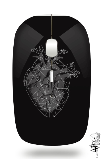 Mouse heart II 