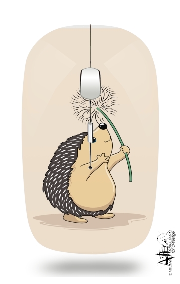 Hedgehog play dandelion
