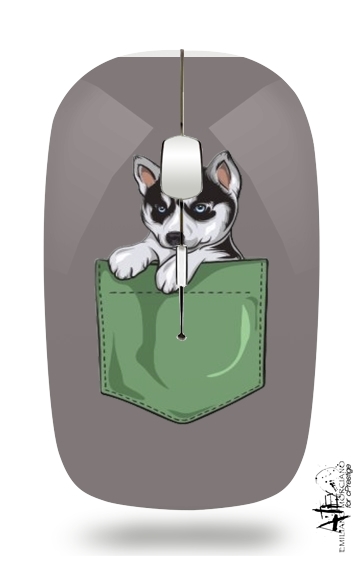 Mouse Husky Dog in the pocket 