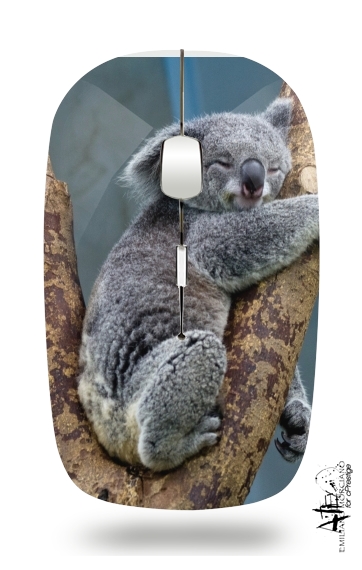 Mouse Koala Bear Australia 