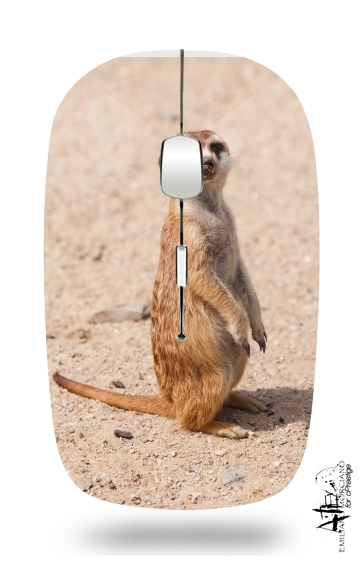 Mouse Meerkat 