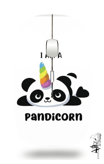 Panda x Licorne Means Pandicorn