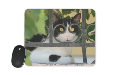 tapis de souris Cat with spectacles frame, she looks through a wrought iron fence