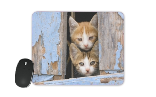 tapis de souris Cute curious kittens in an old window