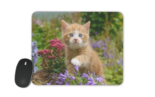 tapis de souris Cute ginger kitten in a flowery garden, lovely and enchanting cat