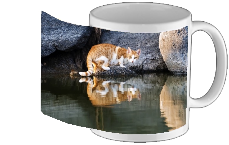 Mug Cat Reflection in Pond Water 