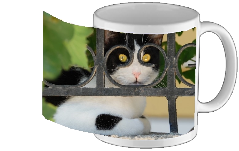 Mug Cat with spectacles frame, she looks through a wrought iron fence 