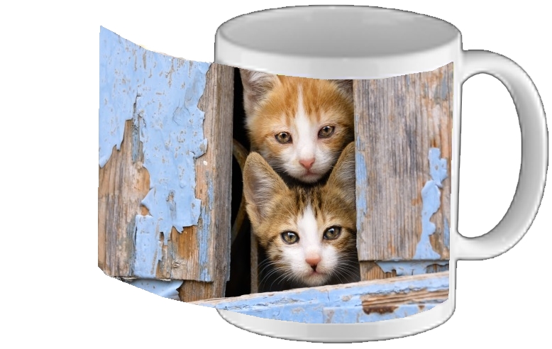 Mug Cute curious kittens in an old window 